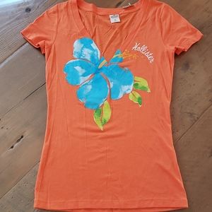 *NWT* Hollister V-Neck T-Shirt